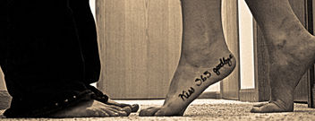 project 365: day 365 (I FINALLY DID IT!!) - image gratuit #308181
